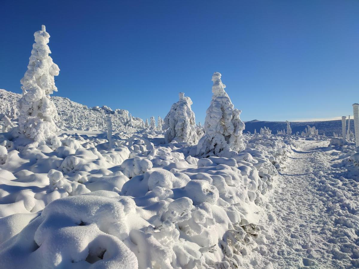 Апартаменты Wiking Шклярска-Поремба Экстерьер фото